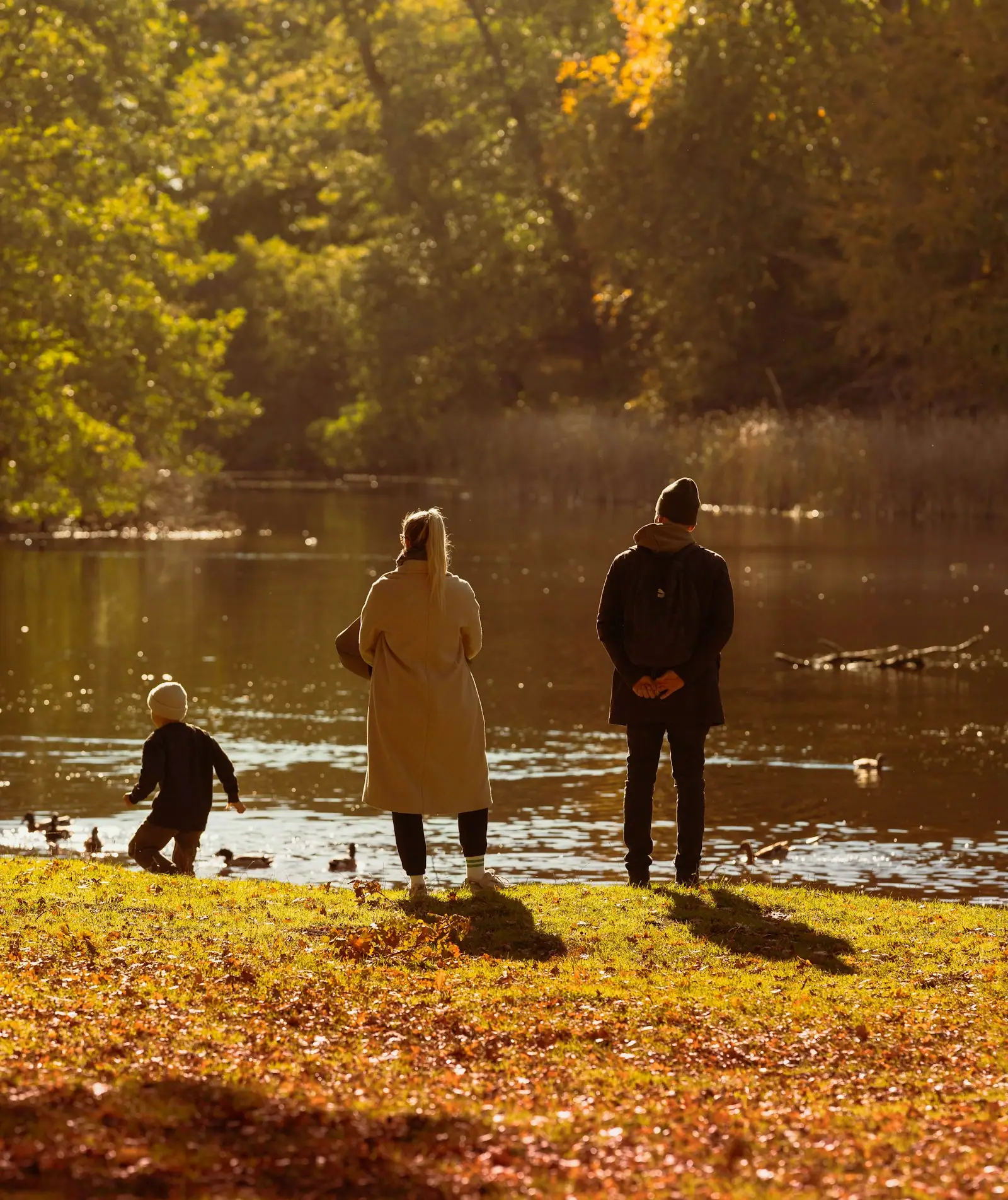 Family enjoys autumn day by the lake with ducks